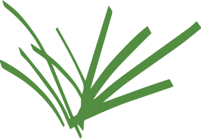 Turf grass information center logo